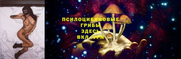прущие крисы Аркадак