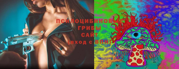 молекула духа Армянск