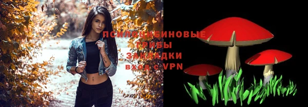 амф Арсеньев